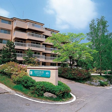 Yongpyong Resort Villa Condominium Пхёнчхан Экстерьер фото