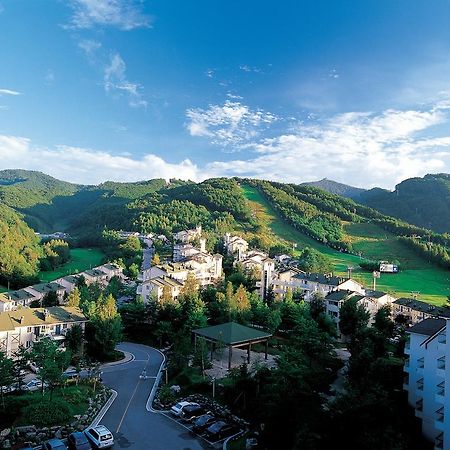 Yongpyong Resort Villa Condominium Пхёнчхан Экстерьер фото